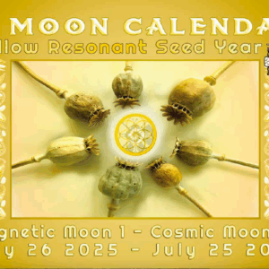 13 Moon Wall Calendar 2025-26
