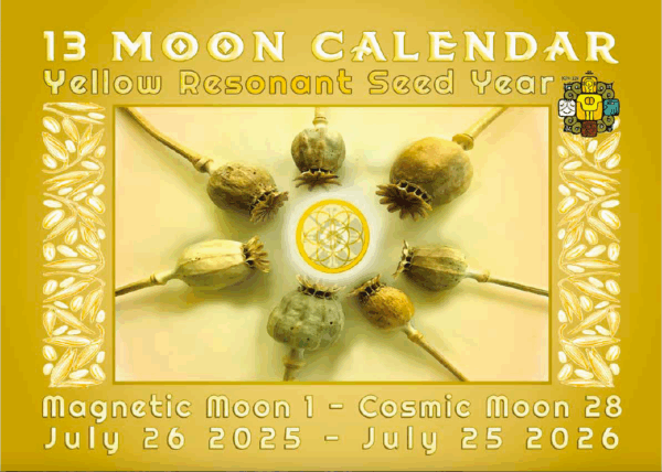 13 Moon Wall Calendar 2025-26
